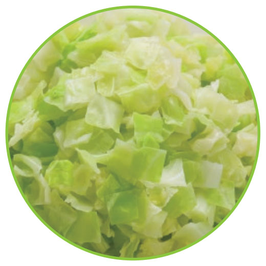 速冻圆白菜丁